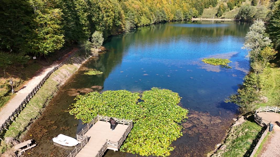 Sonbahar renkleriyle büyüleyen ünlü park rekora koşuyor 9